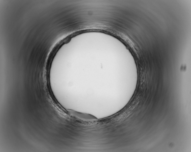 X0000099461072200806061123