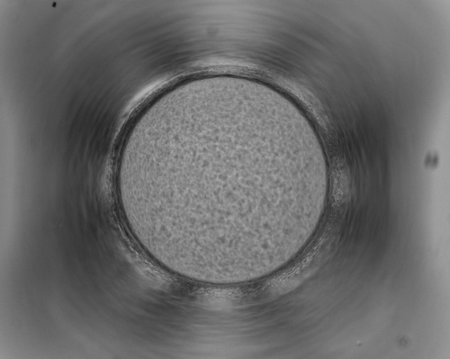 X0000099461074200806061123