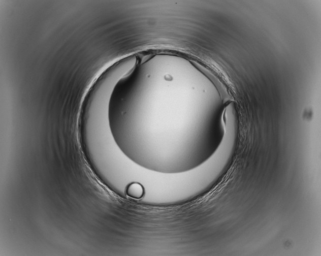 X0000099461076200806061123