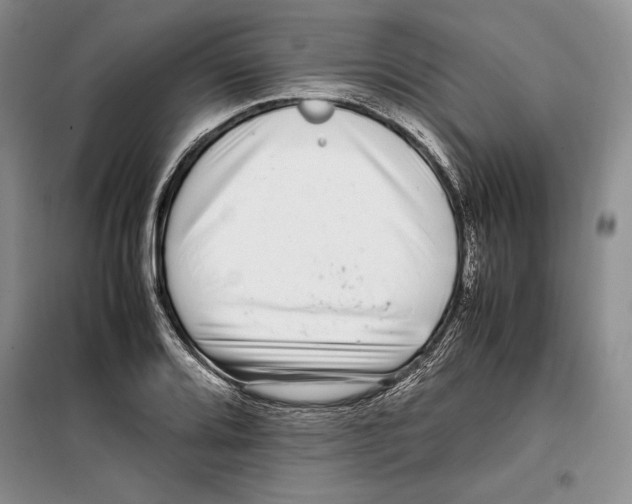 X0000099461080200806061123