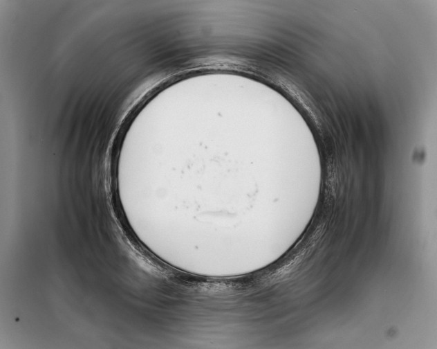 X0000099461082200806061123