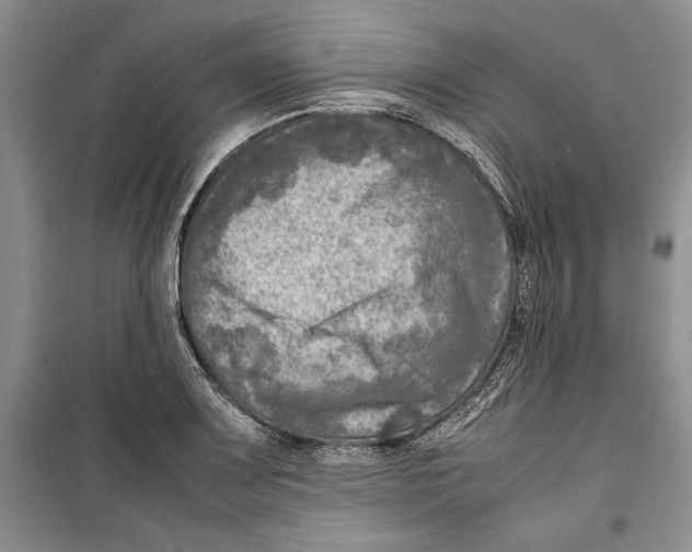 X0000099461083200806061123