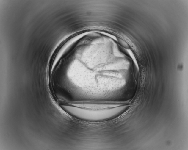 X0000099461084200806061123