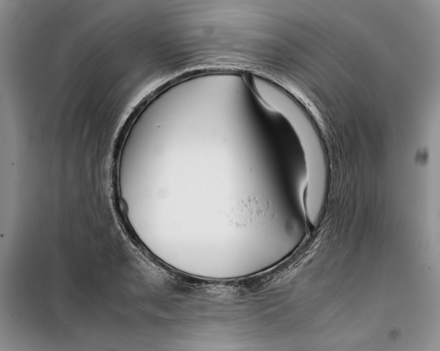 X0000099461085200806061123