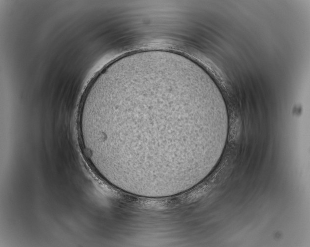 X0000099461086200806061123