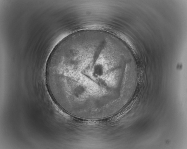 X0000099461087200806061123