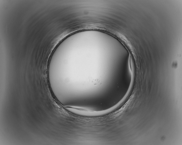 X0000099461089200806061123