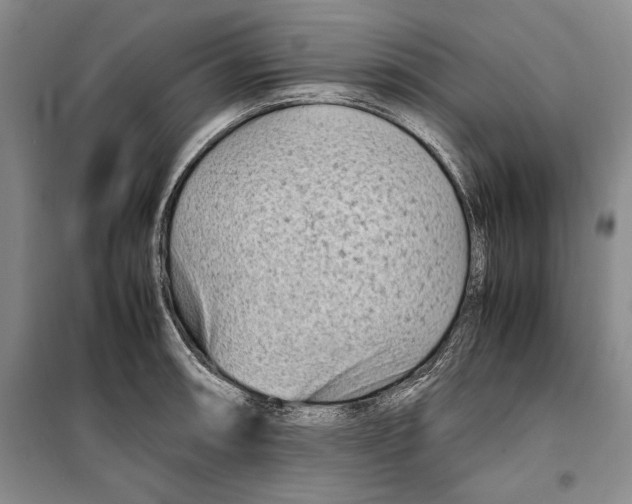 X0000099461090200806061123