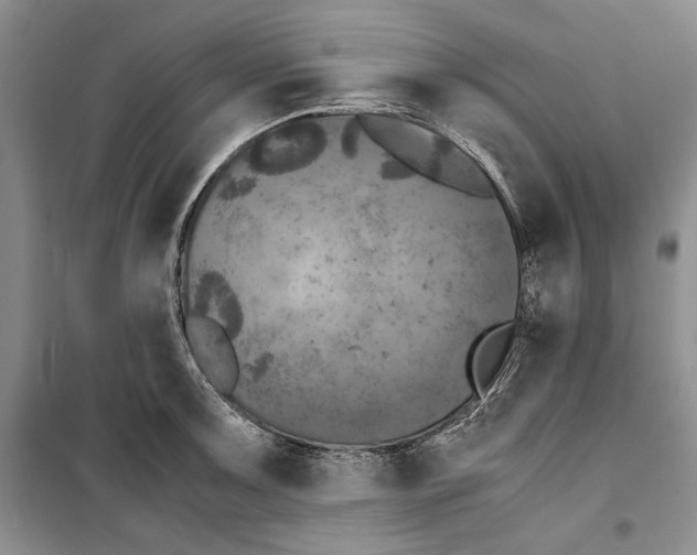 X0000099461091200806061123