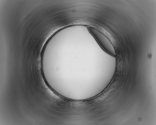 X0000099461092200806061123