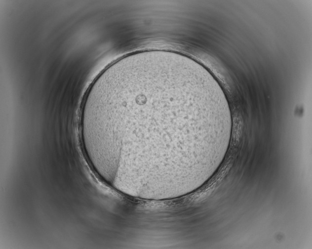 X0000099461094200806061123