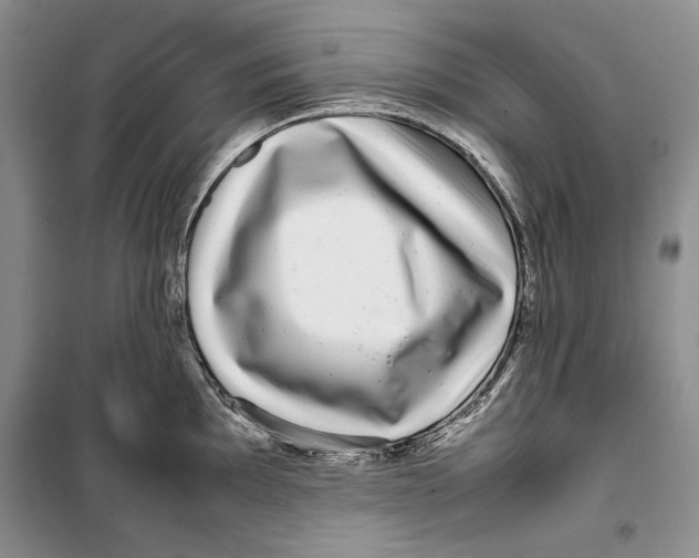 X0000099461097200806061123