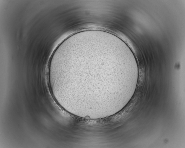 X0000099461098200806061123