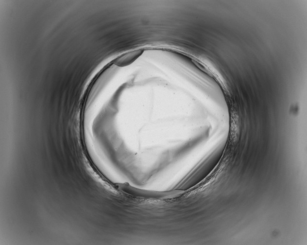 X0000099461100200806061123