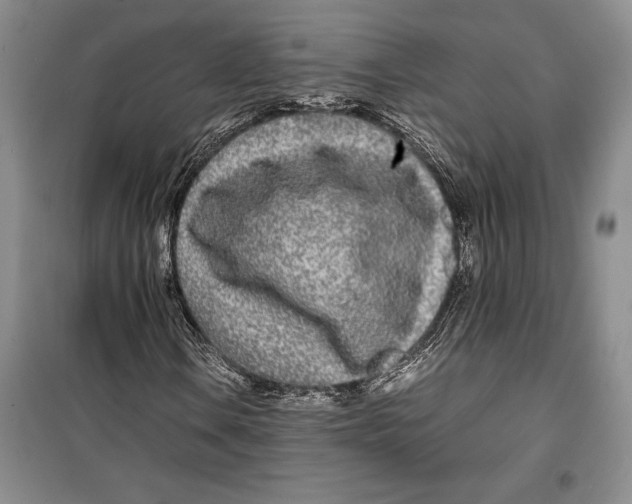 X0000099461106200806061122