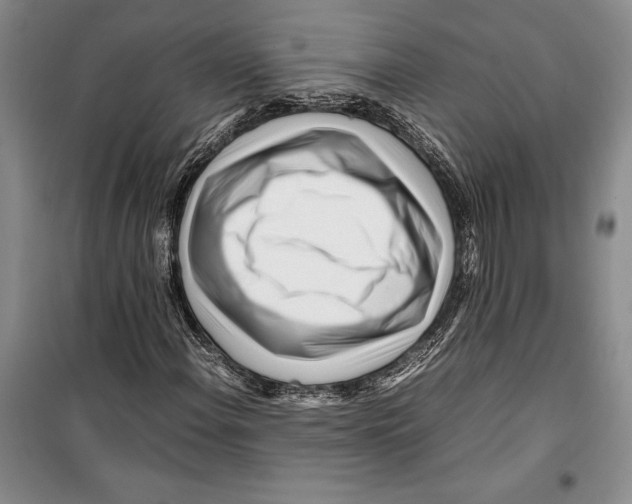 X0000099461108200806061122