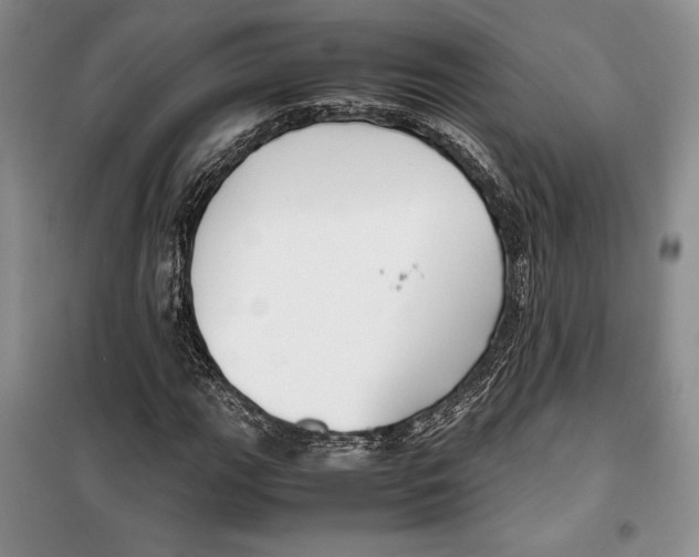 X0000099461111200806061122