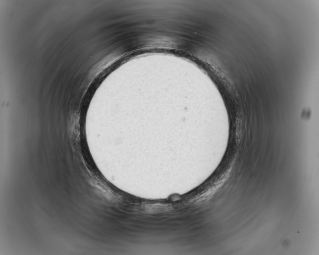 X0000099461113200806061122