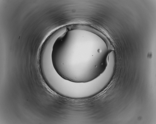 X0000099461116200806061122