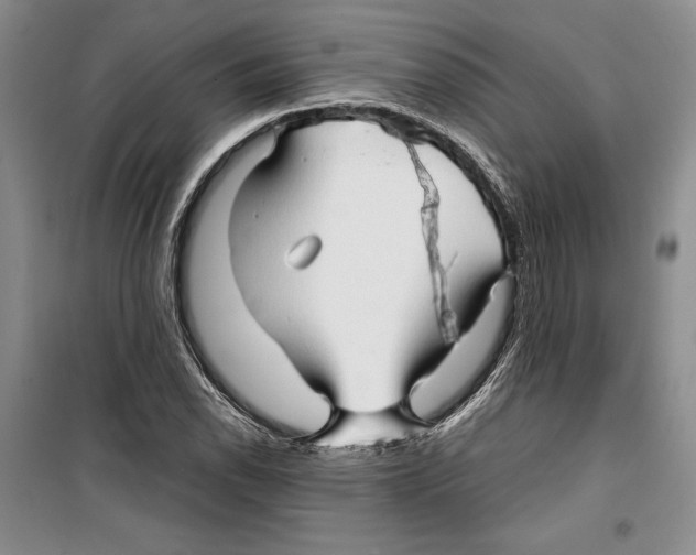 X0000099461118200806061122