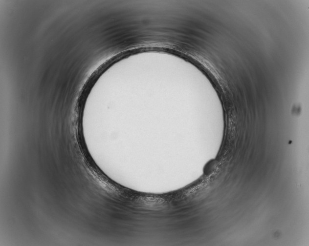 X0000099461119200806061123