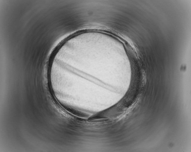 X0000099461120200806061123