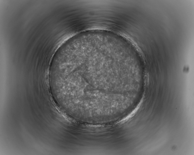 X0000099461121200806061123