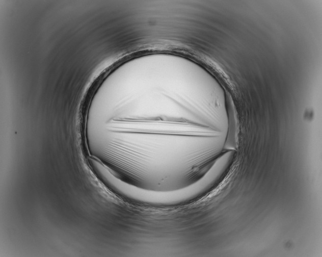 X0000099461122200806061123