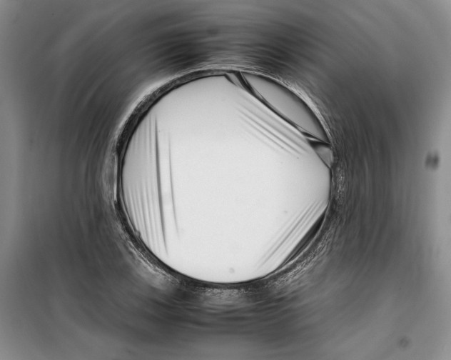 X0000099461123200806061123