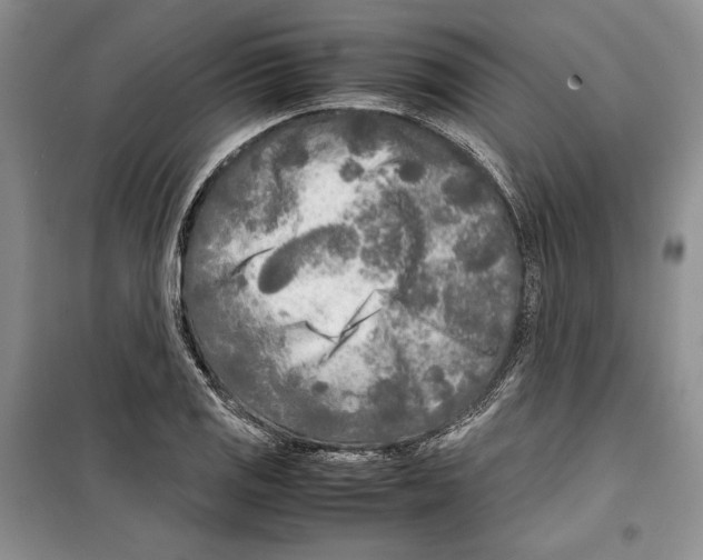 X0000099461125200806061123