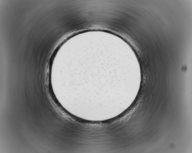 X0000099461126200806061123