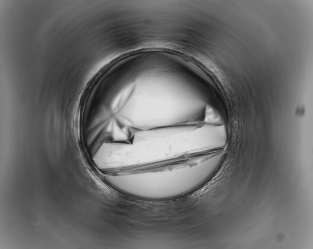 X0000099461127200806061123