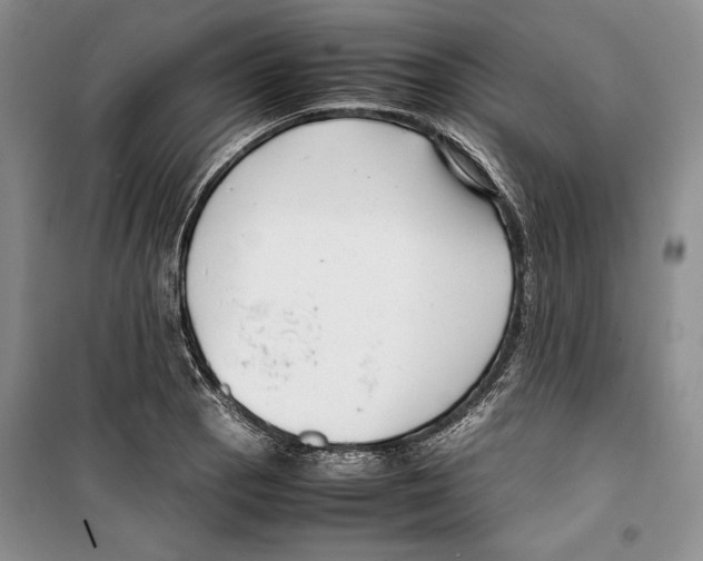 X0000099461129200806061123