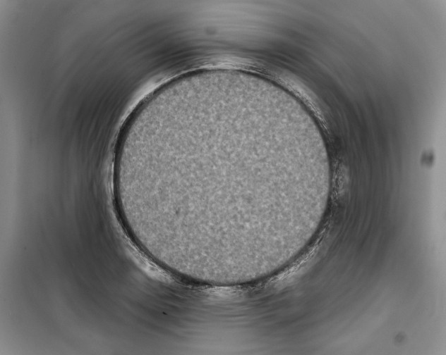 X0000099461130200806061123