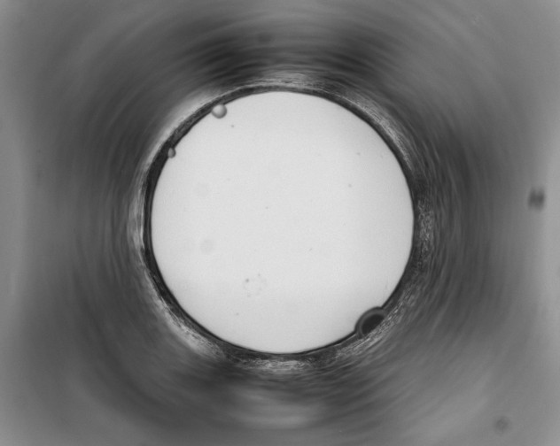 X0000099461131200806061123