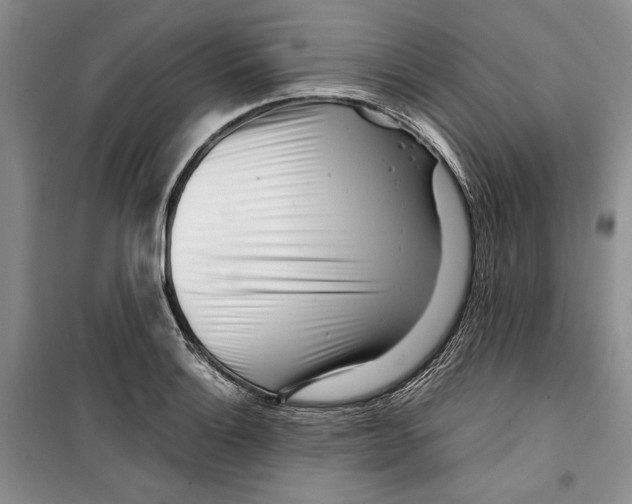 X0000099461132200806061123