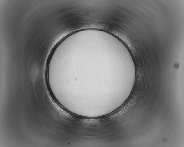 X0000099461135200806061123