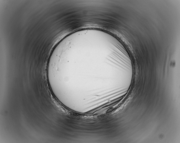 X0000099461137200806061123