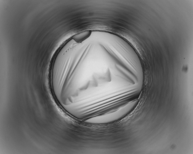 X0000099461139200806061123