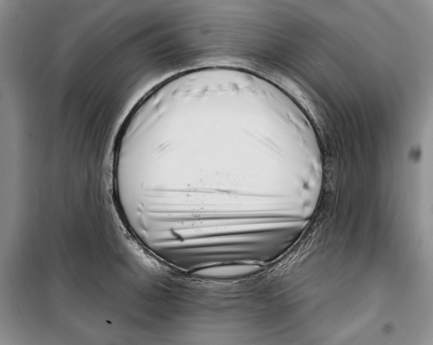 X0000099461140200806061123