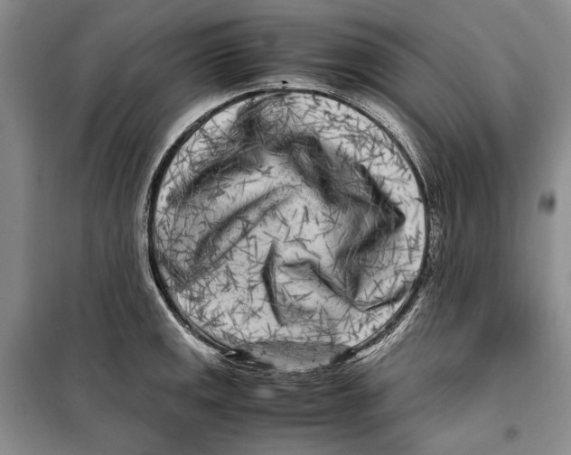 X0000099461141200806061123