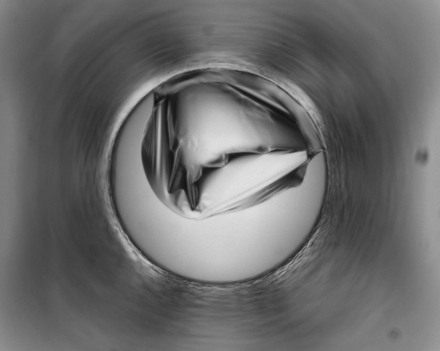 X0000099461144200806061123