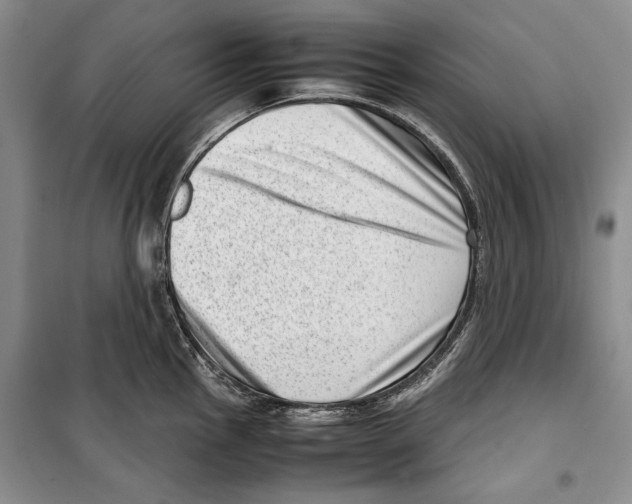 X0000099461145200806061123