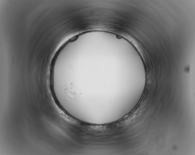 X0000099461147200806061123