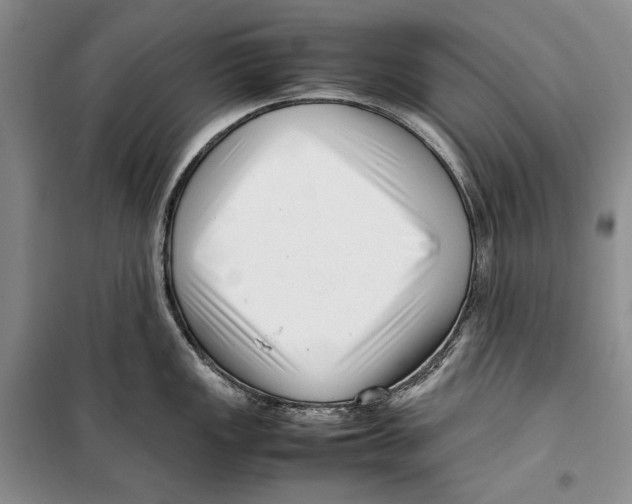 X0000099461149200806061123