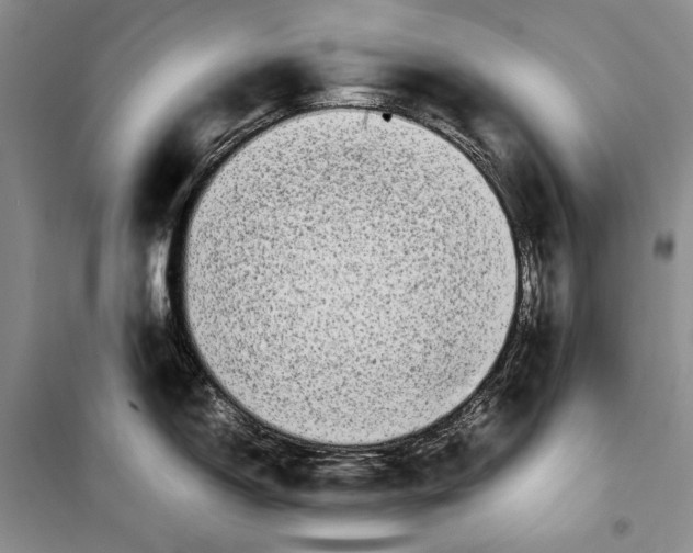 X0000099461150200806061123