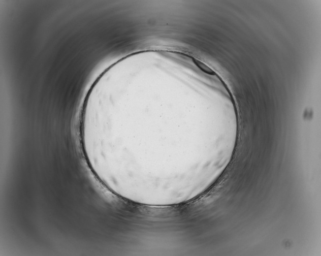 X0000099461152200806061123