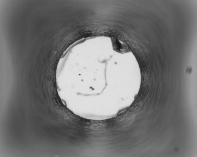 X0000099461153200806061122