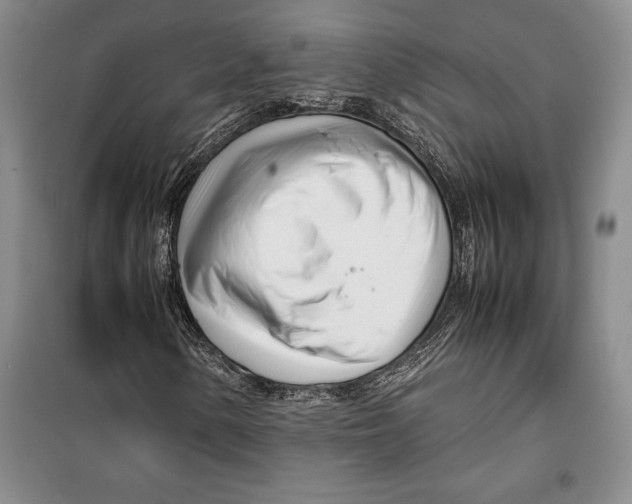 X0000099461154200806061122