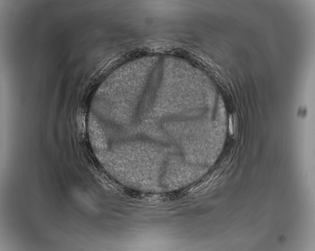 X0000099461155200806061122